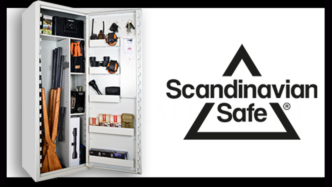 Teaser Scandinavian Safe